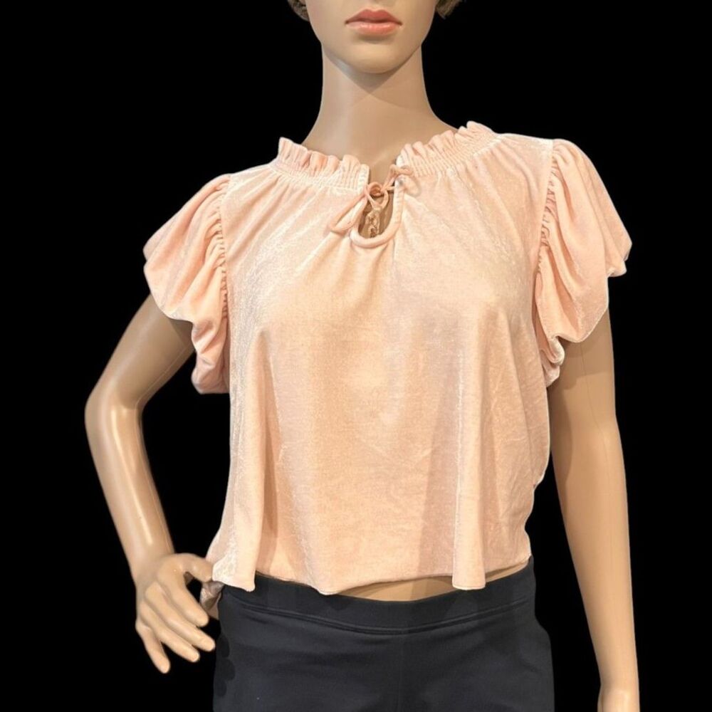 FREE PEOPLE Terese Velvet Pink Tint Short Puff Sleeves Crop Top Sz S/P